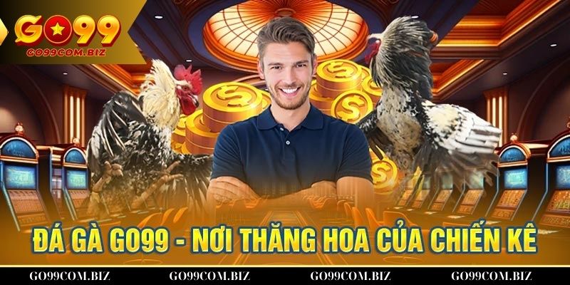 Đá Gà GO99 – Đấu Trường Gà Chọi Với Tỷ Lệ Hoàn Trả Siêu Cao